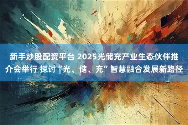 新手炒股配资平台 2025光储充产业生态伙伴推介会举行 探讨“光、储、充”智慧融合发展新路径